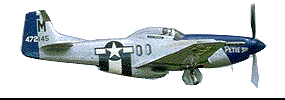 P 51