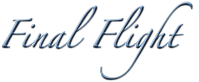 Final Flight Top